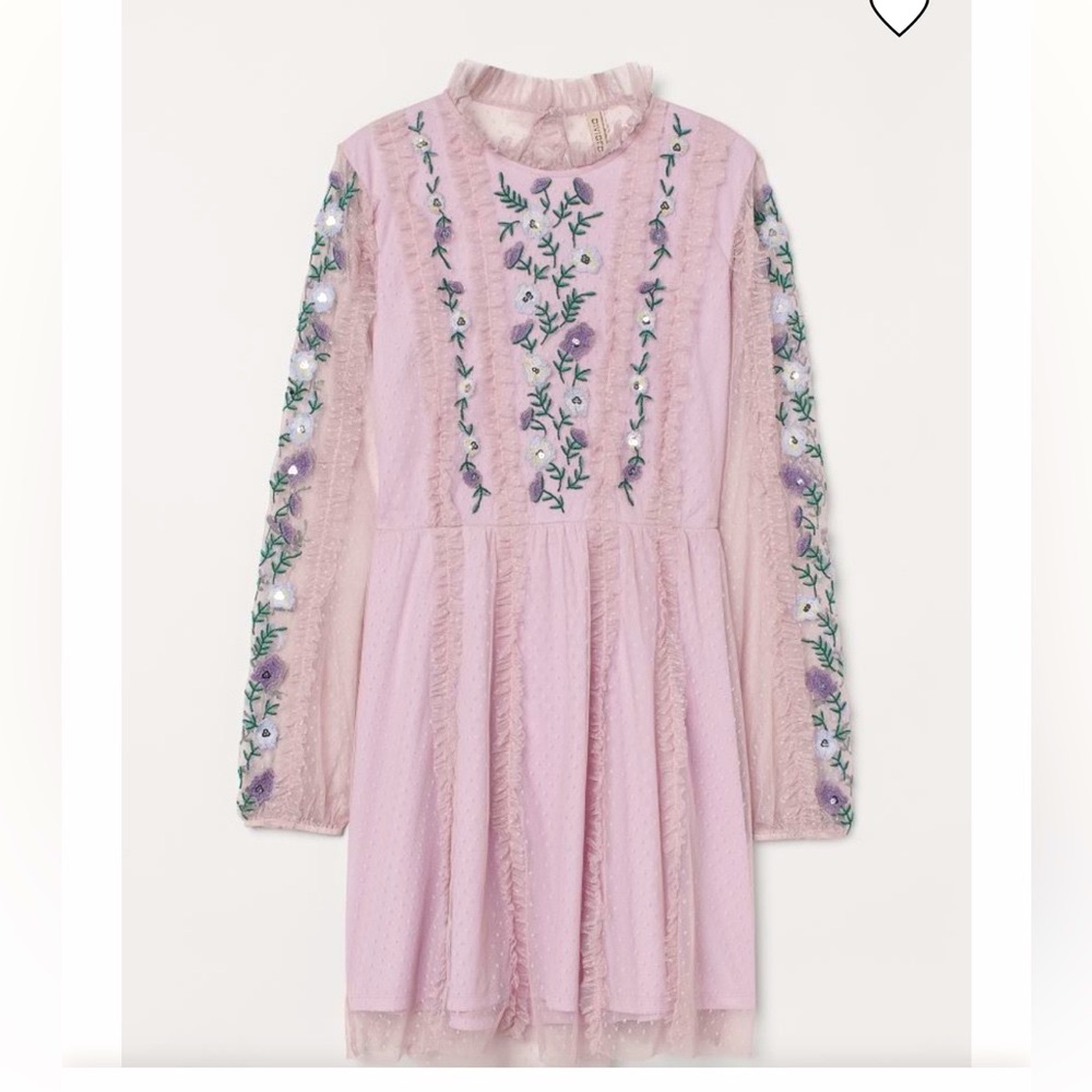 H&M embroidered mesh dress